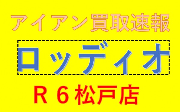 ロッディオ　アイアン