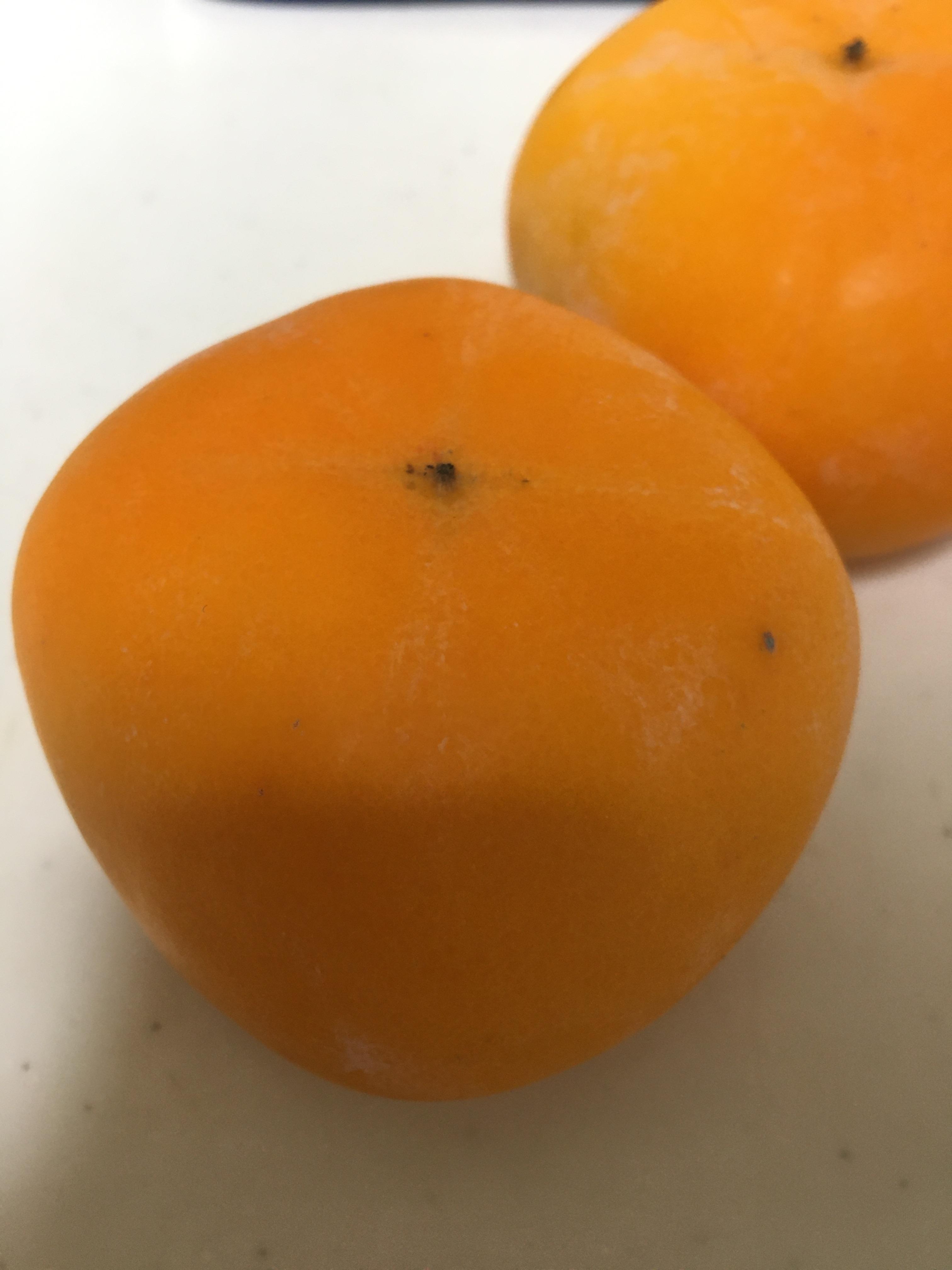 次は９か月後(*´ー｀*)