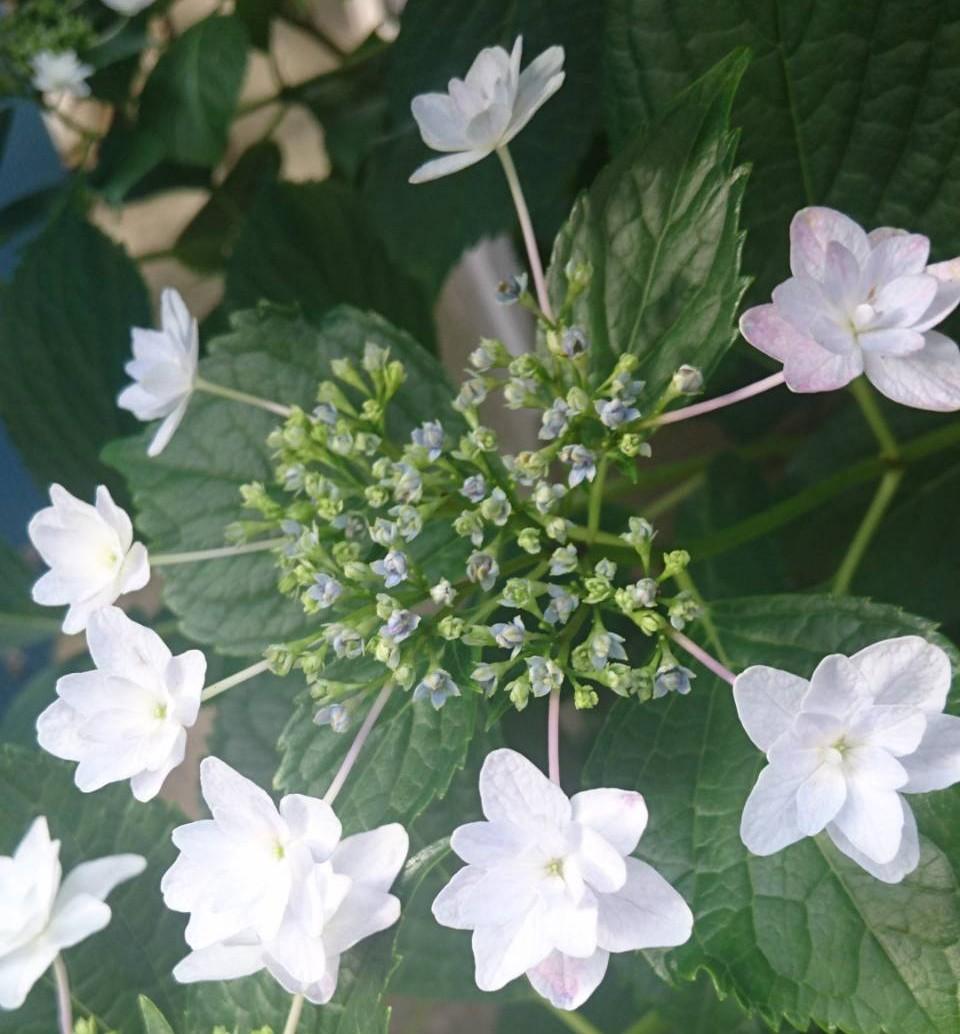 \( ´꒳`)/♥雨の日の過ごし方