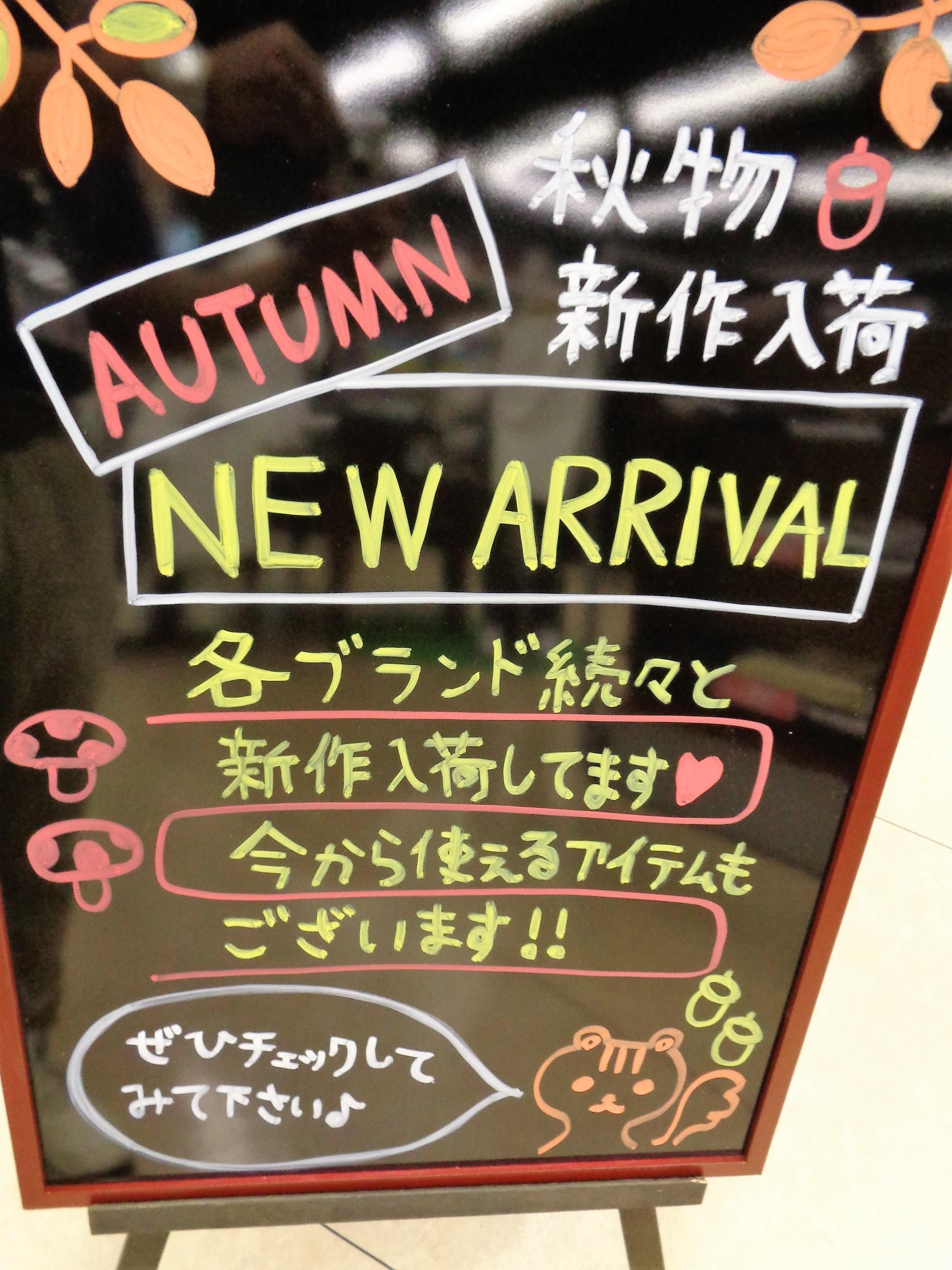 レディースウェアも入荷中！