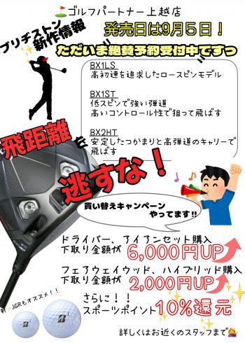 IMG_0800 - コピー (2).JPG