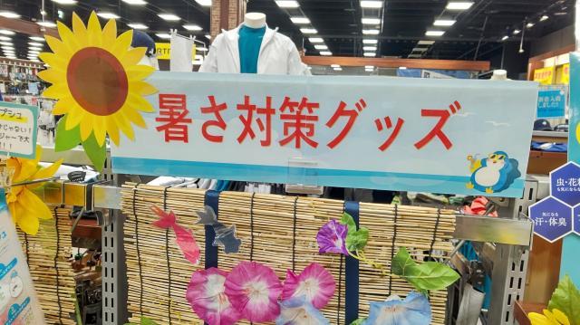 爆売れしたあの商品が...