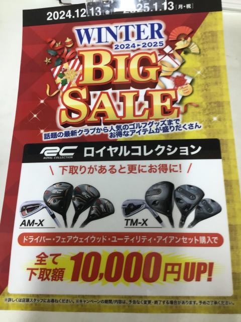 今がお得です！<ロイヤルコレクション>