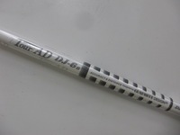 CIMG2224.JPG