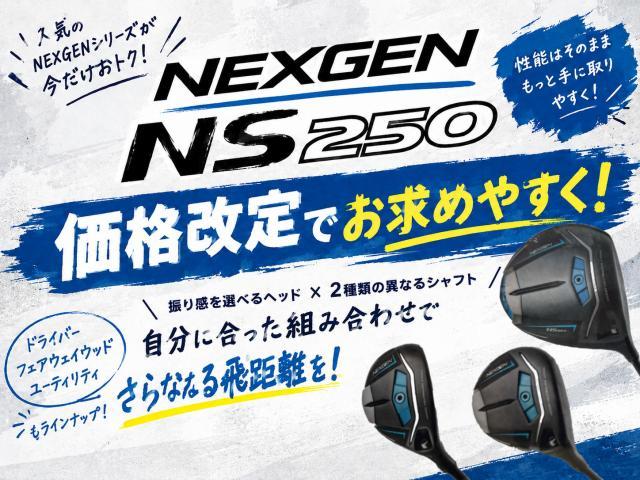 NS250お求めやすくなりました