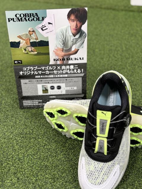 コブラプーマゴルフシューズ×向井康二　オリジナルマーカープレゼント！！