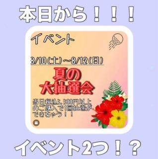 本日より！！！！