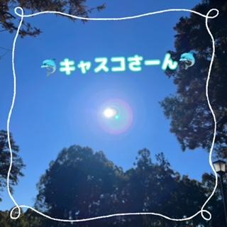 キャスコさーん！