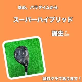 パラダイム　スーパーハイブリット！