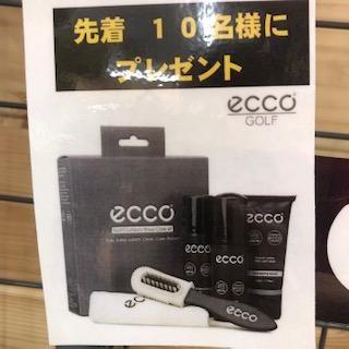プレ　えこ.jpg