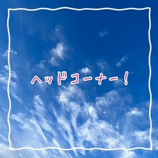 new　コーナー！？