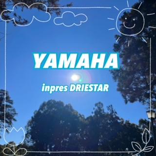 ヤマハ　新作クラブ！