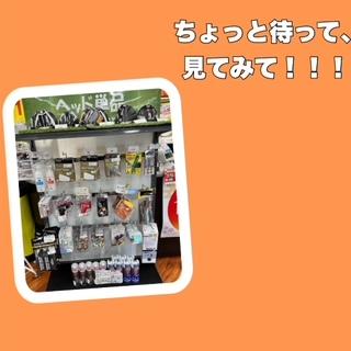 ちょっと待って、見てみて！