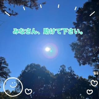 助けて下さい！！