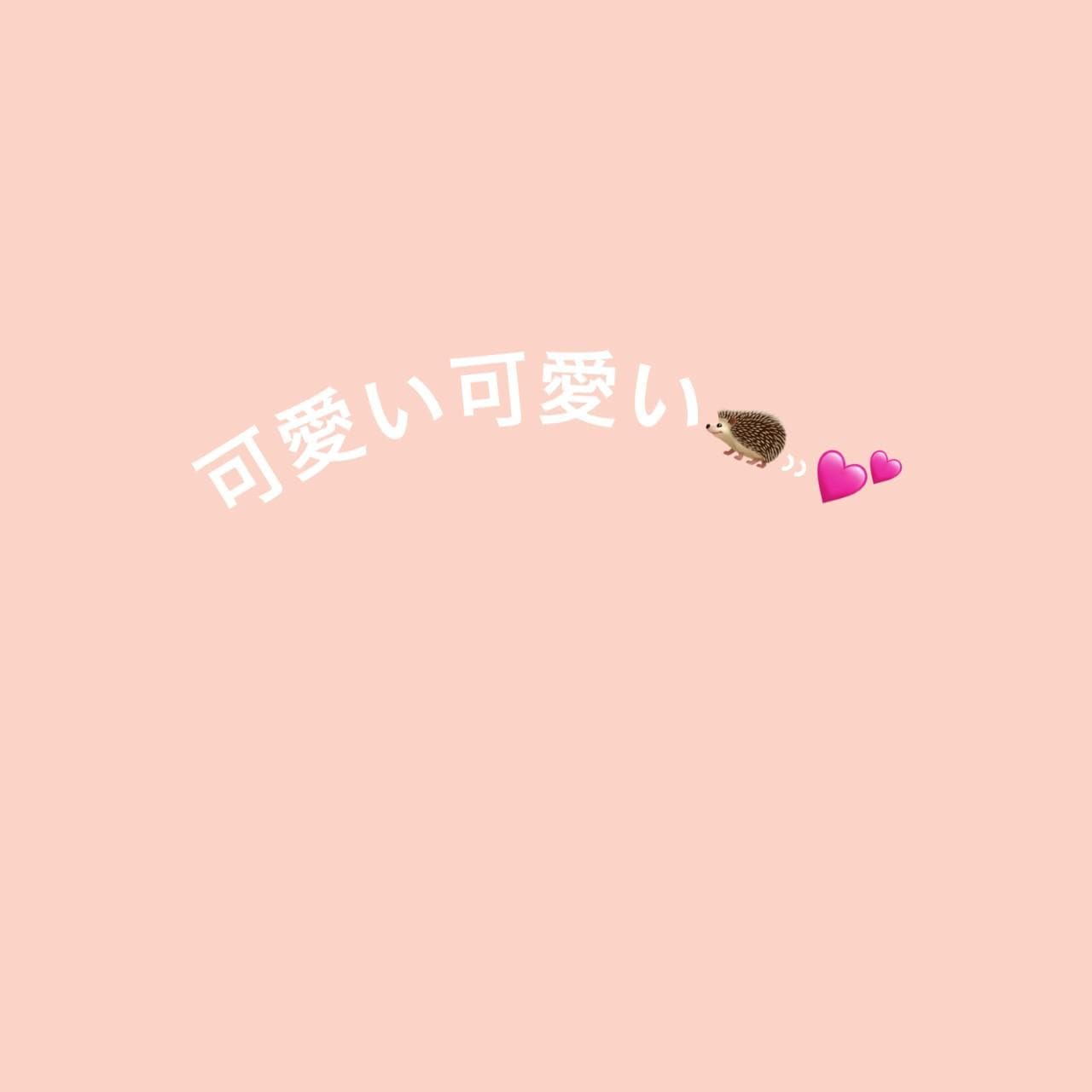 可愛い可愛い！