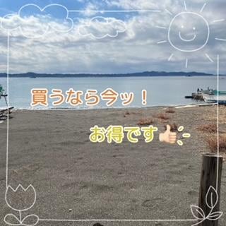 買うなら今ッ！？