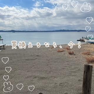 買換えがお得！