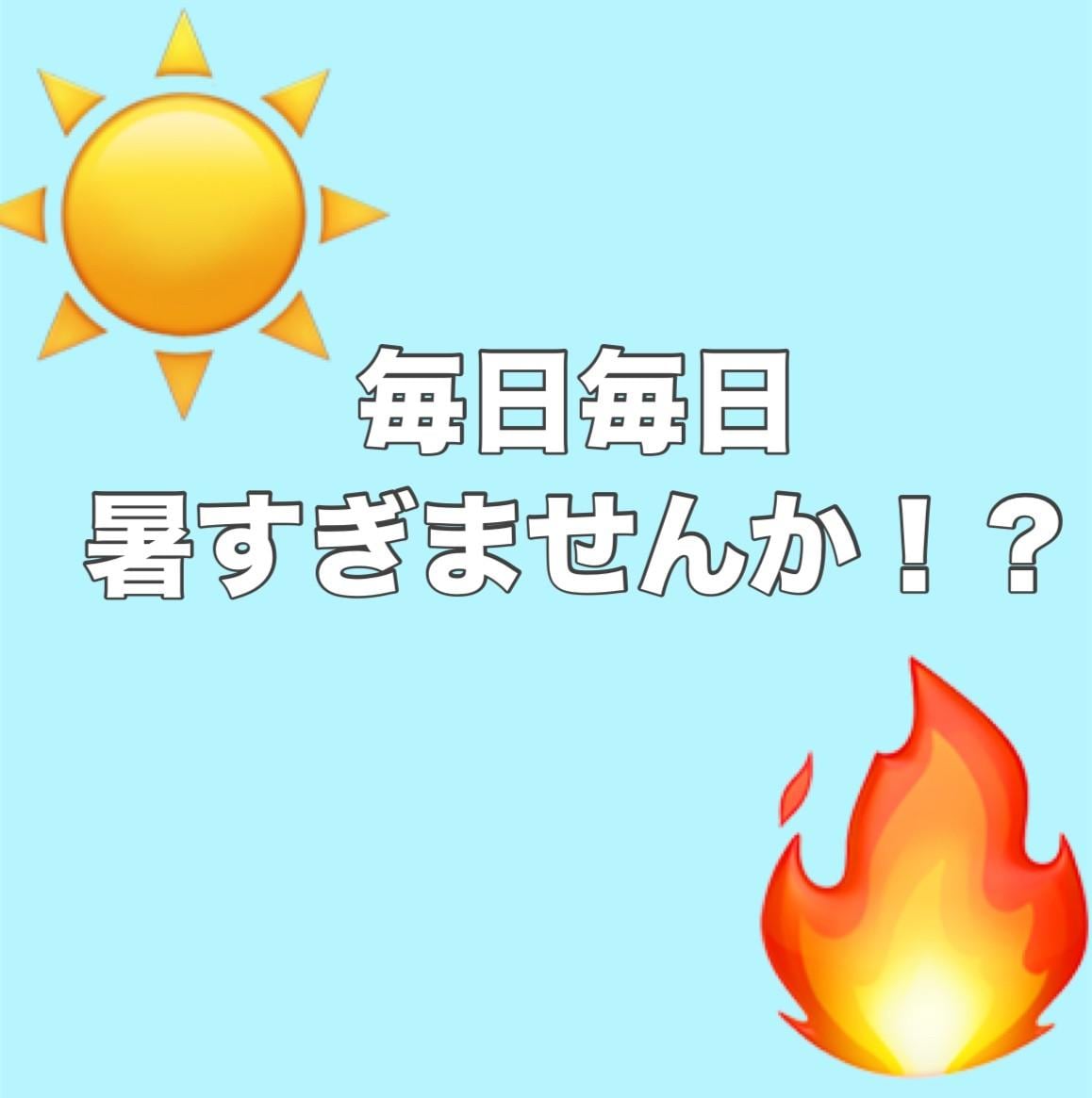 毎日、毎日