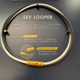 ＳＥＶ　ルーパー.jpg