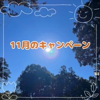 １１月のキャンペーン！