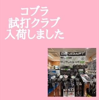 入荷しました！