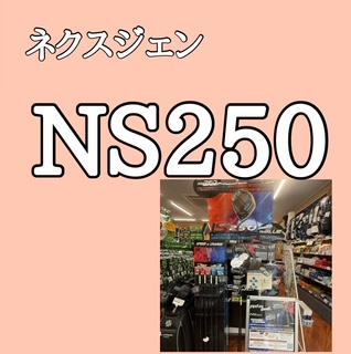 ネクスジェン　NS250