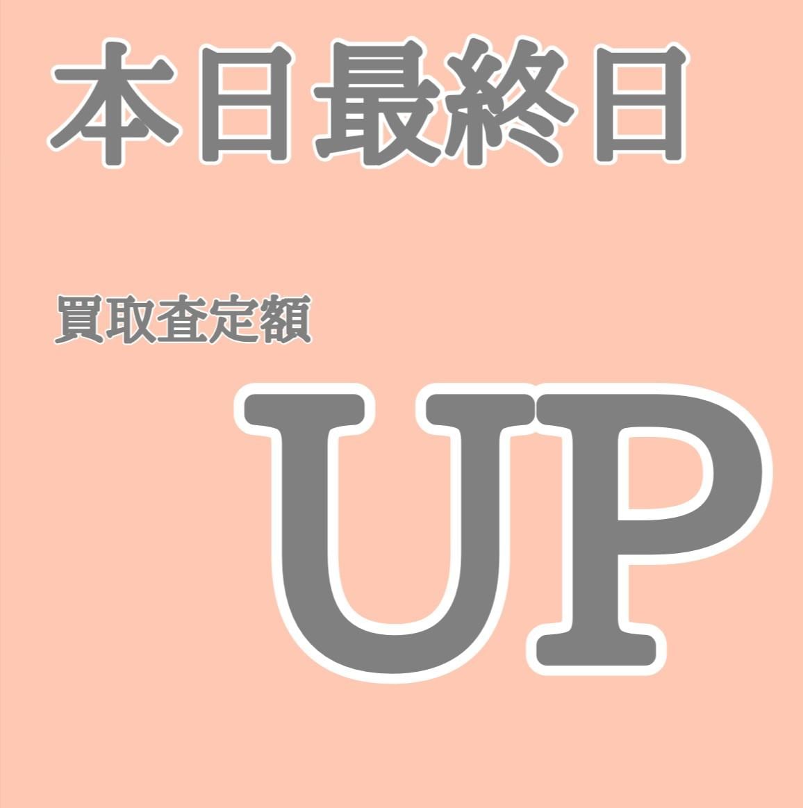 本日３月２日までです！