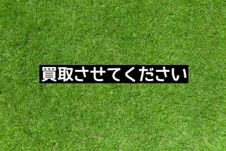 お願いします！
