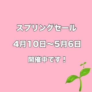 スプリングセール　本日からです！！！