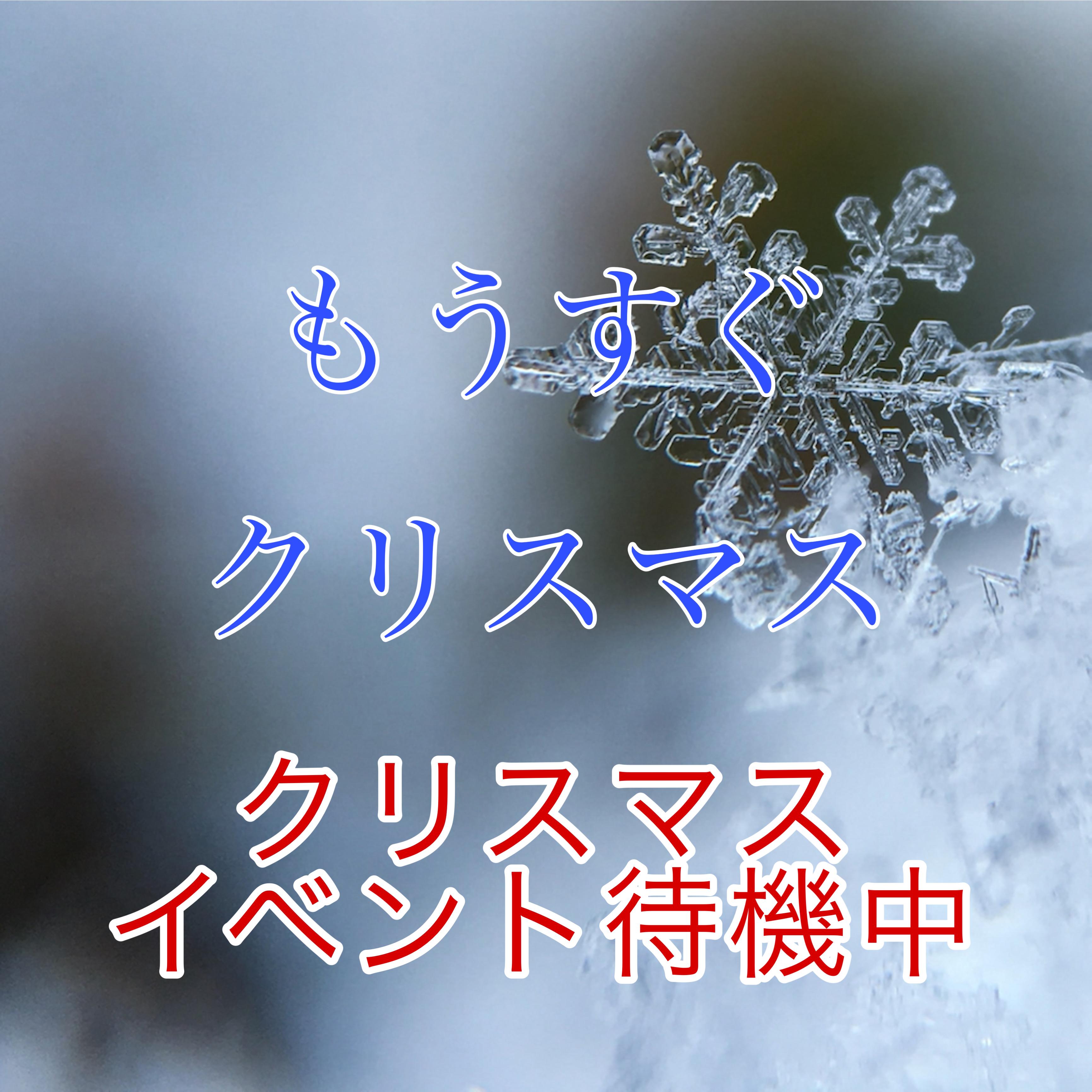 クリスマスまでまだ１７日！