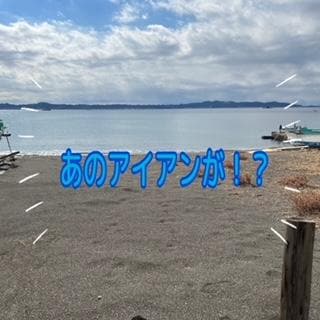 テーラーメイドアイアン！