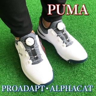 puma　シューズ.jpg