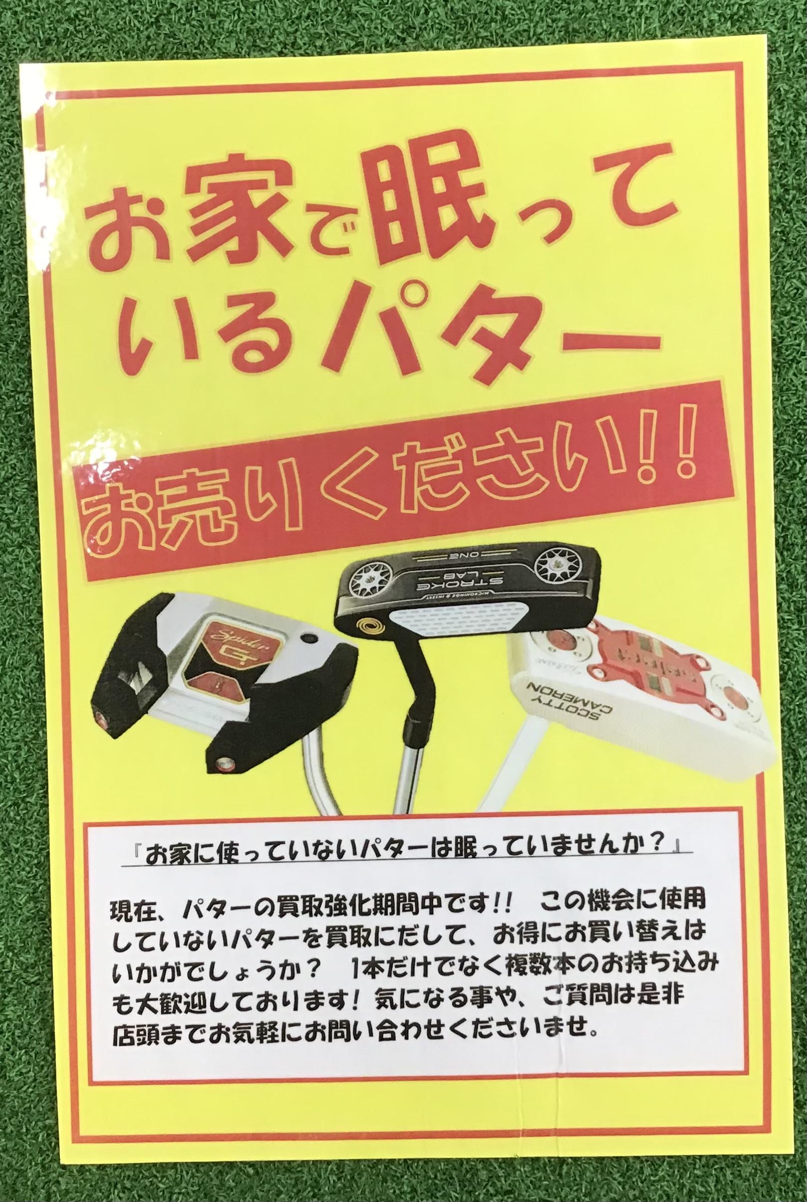 IMG_2839.jpeg