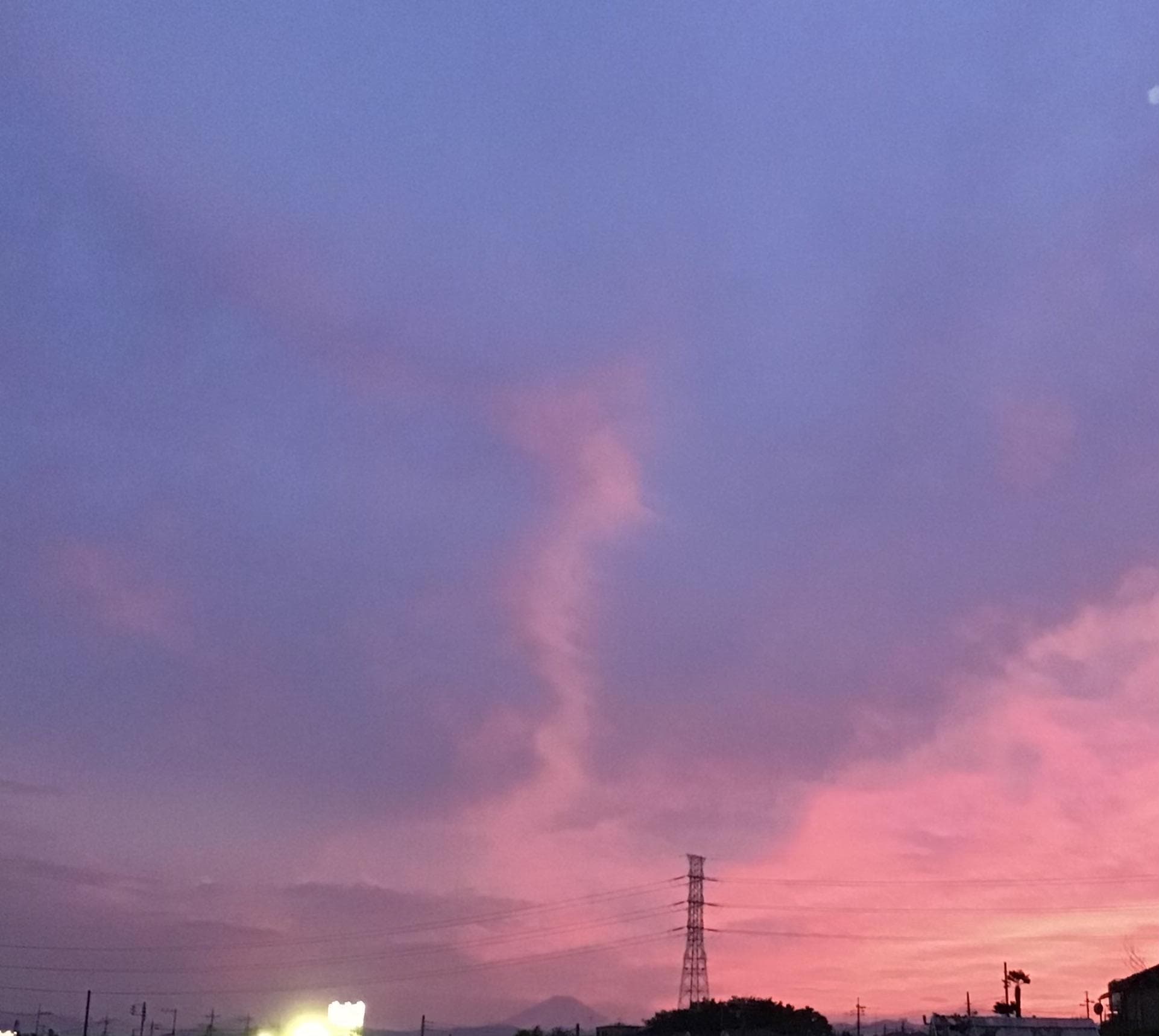 IMG_2942.jpeg