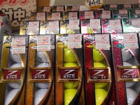 DSCN2168.JPG