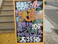 DSCN6455[1].JPG