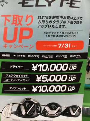 IMG_2405.jpeg