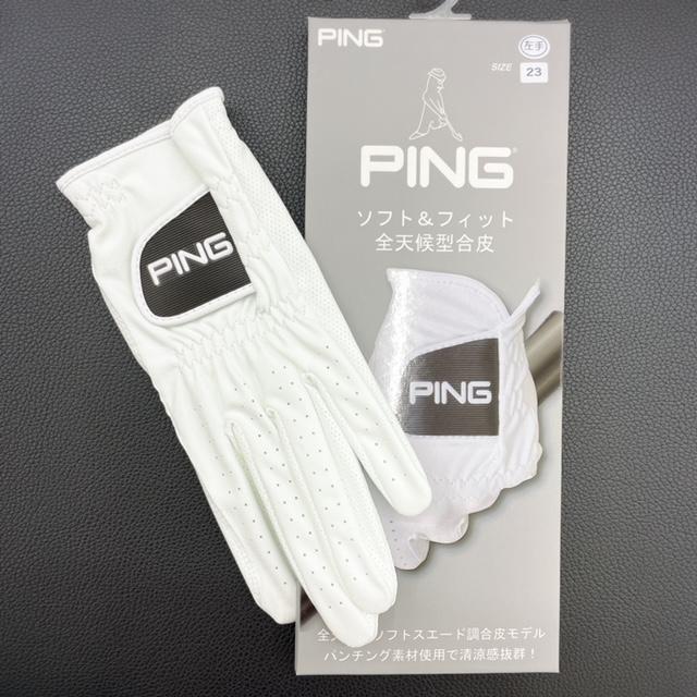 PINGグローブ追加！