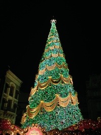 IMG_0299.JPG