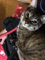 るる.JPG