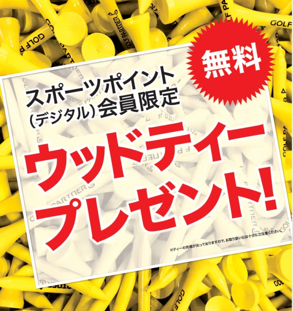 ウッドティープレゼント！！