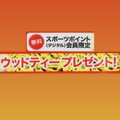 \ウッドティープレゼント/