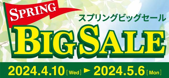 スプリングビッグ『SALE!!』開催中⛳