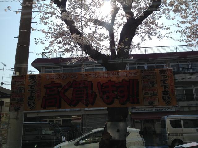 フレッシュマンセール開催中！！