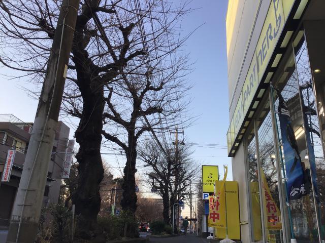 3月営業時間のお知らせ