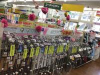 2163FA8F-F3C0-413B-BF21-D281001AC038.jpeg