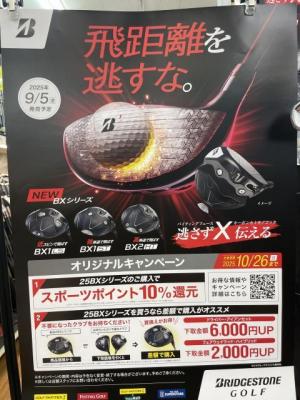 20250817-3.jpeg