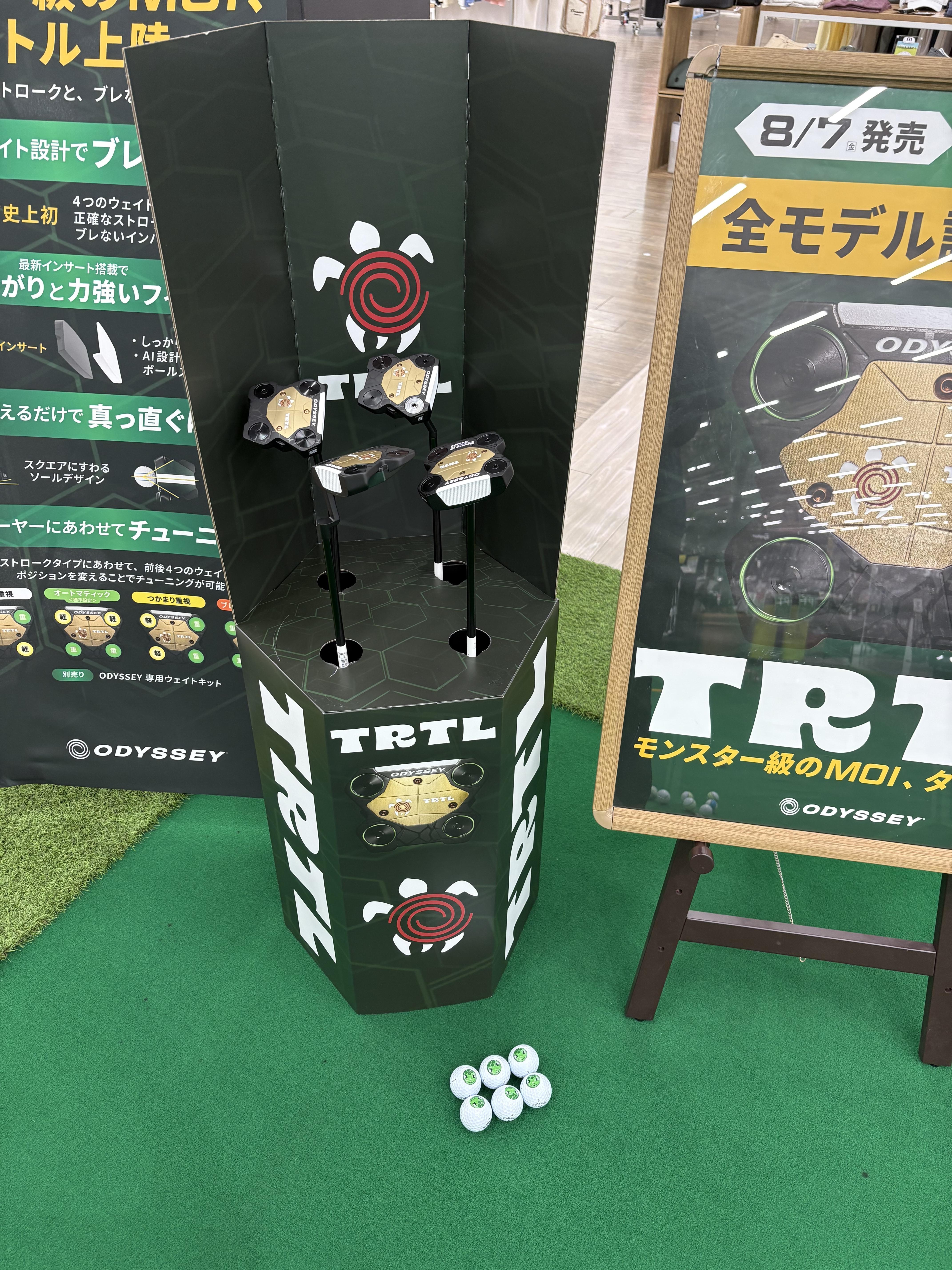 ブログ用亀パター２.jpeg