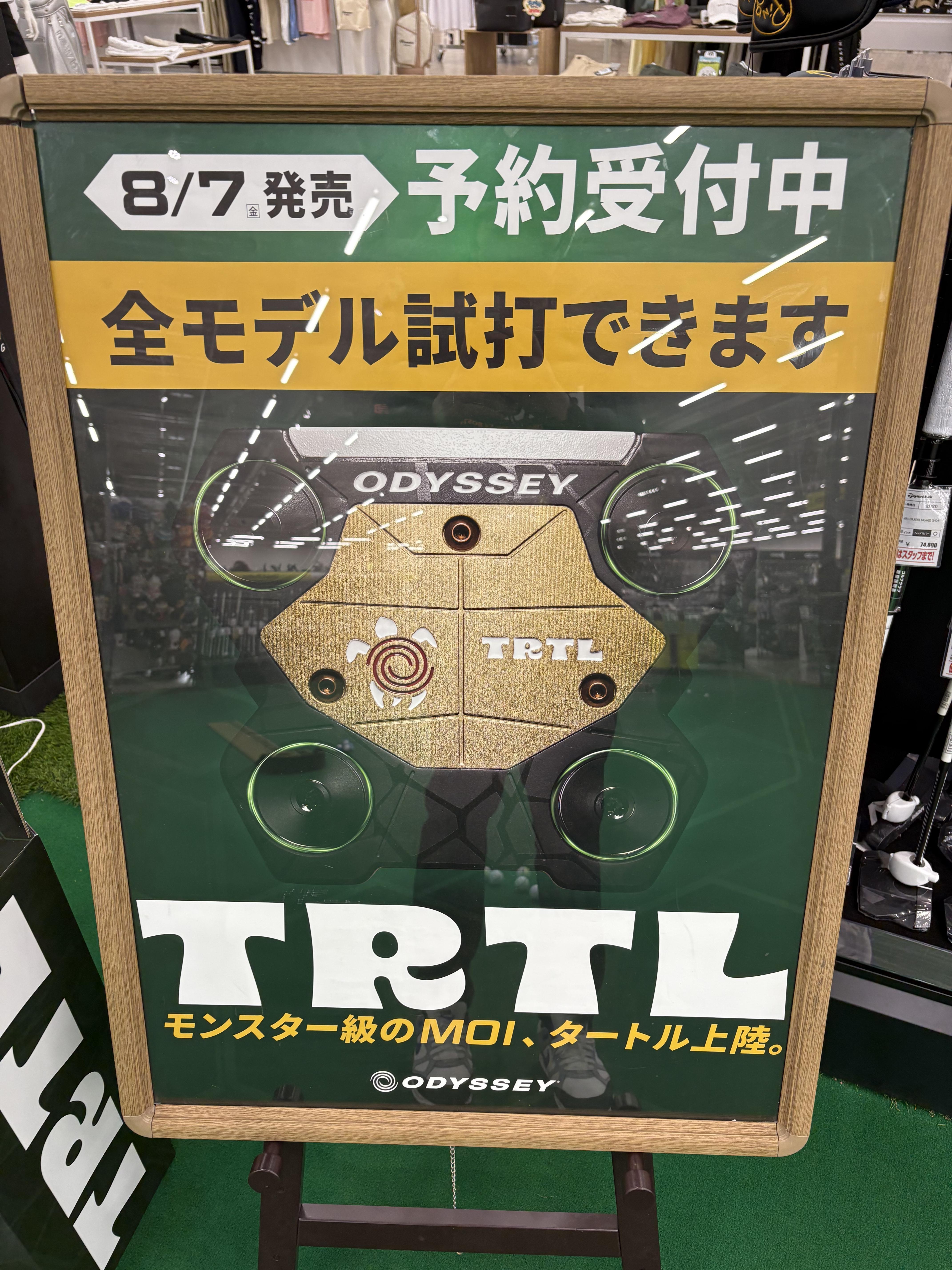 ブログ用亀パター.jpeg