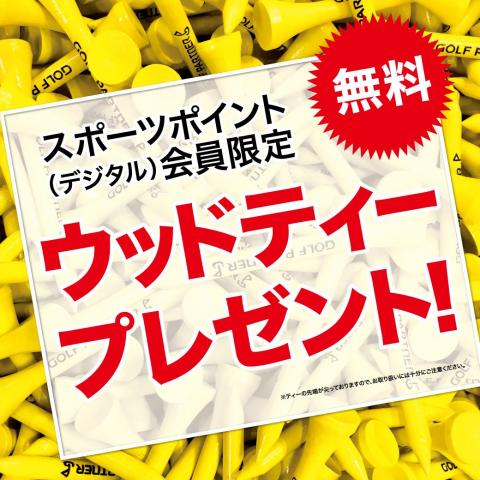 ウッドテイープレゼント実施中！